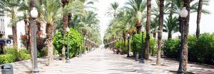 Inmobiliaria Alicante Centro