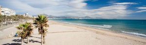 agencias inmobiliarias en alicante capital